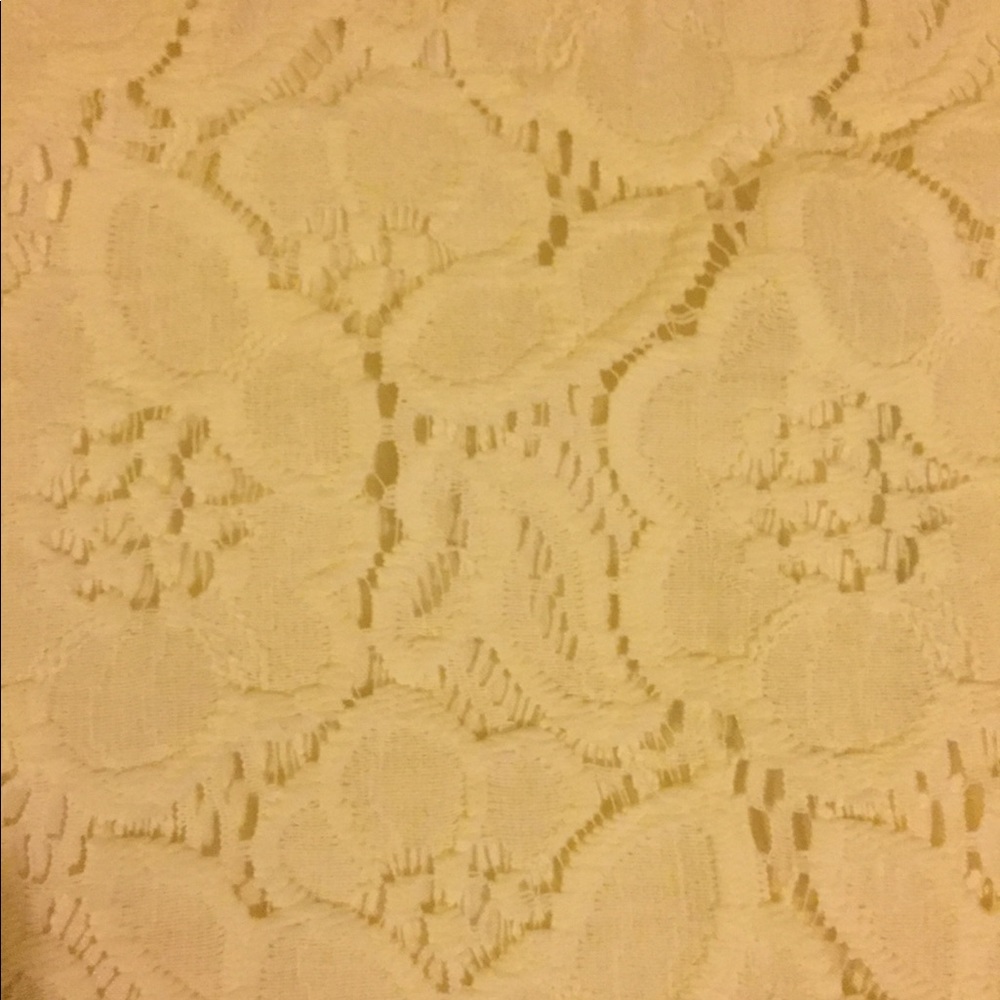 LACE SKIRT FROM THE LIMITED - gently used - Picture 4 of 5